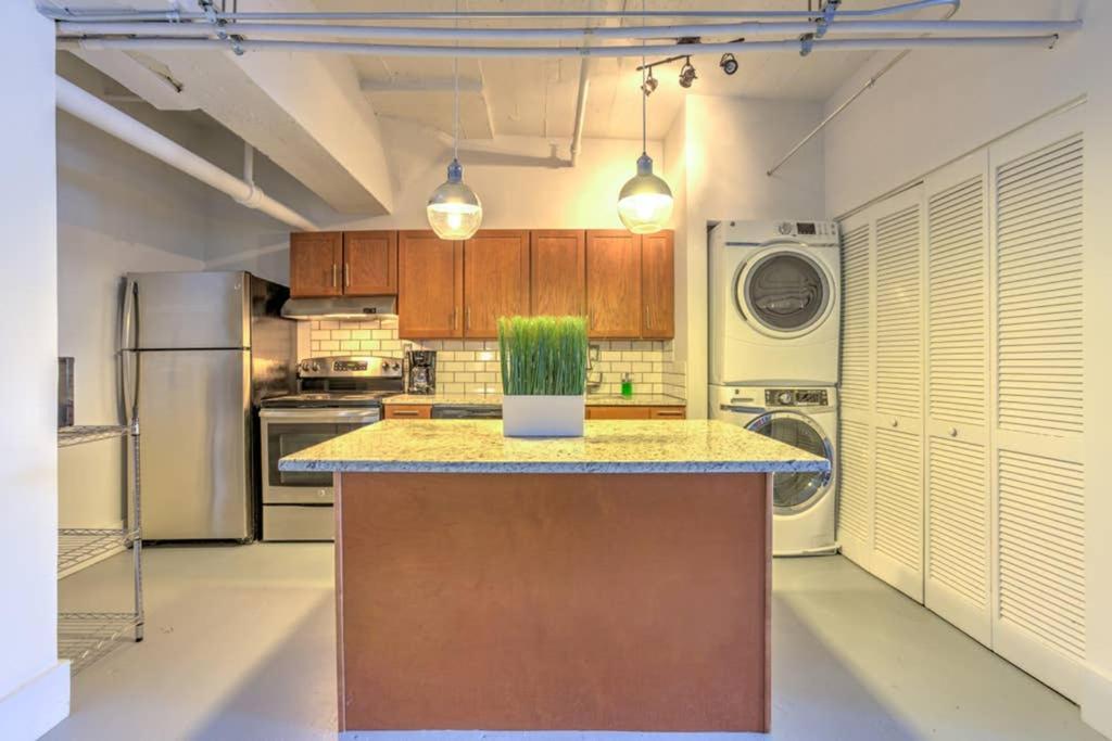 Apartment Vogue Loft Walk To Citymu/cards/aquarium/convctr Saint Louis