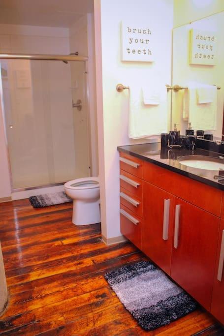 Cozy Stylish Downtown Loft Saint Louis