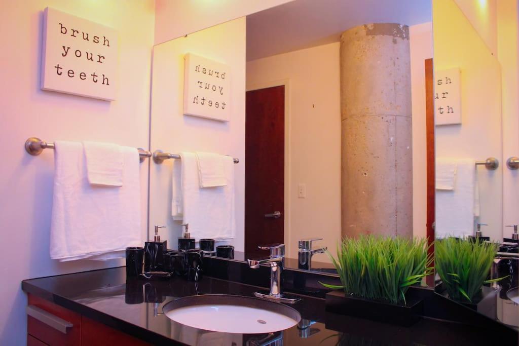 Cozy Stylish Downtown Loft Saint Louis