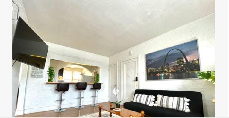 Experience A True Stl Visit! Apartment