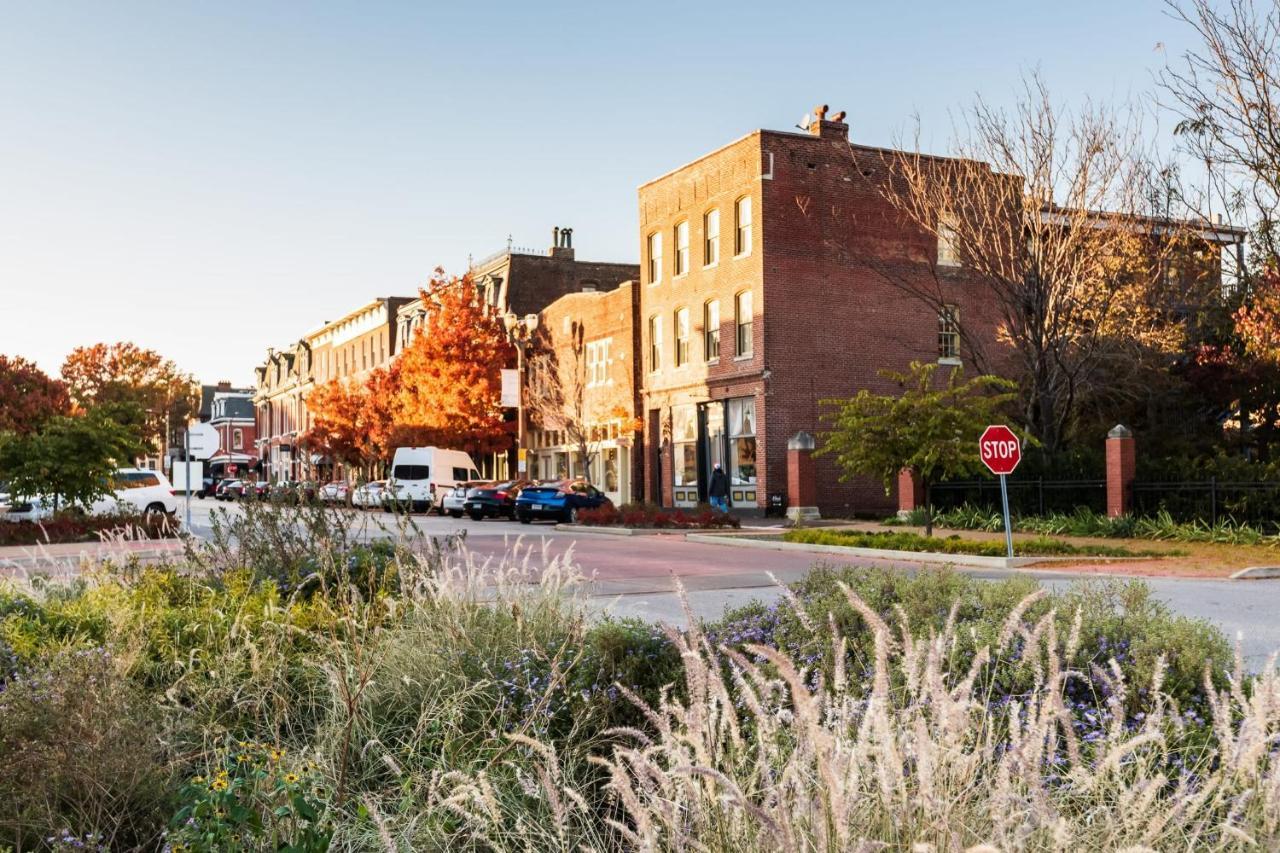Revived Lf Square 1br With Rooftop By Zencity Saint Louis