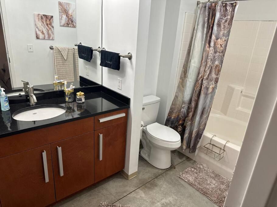 Luxury Cozy Loft Downtown Stl Saint Louis