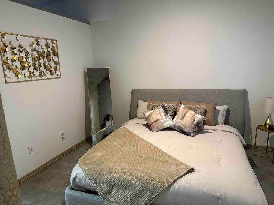 Luxury Cozy Loft Downtown Stl