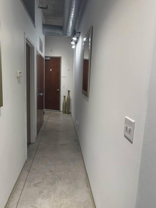 Luxury Cozy Loft Downtown Stl Saint Louis