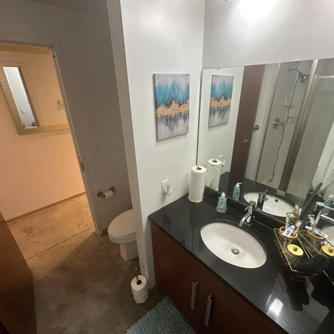 Apartment Luxury Cozy Loft Downtown Stl