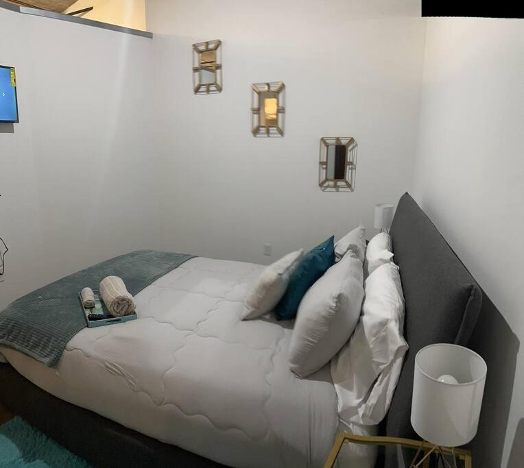 Luxury Cozy Loft Downtown Stl Apartment Saint Louis
