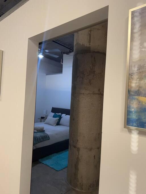 Apartment Luxury Cozy Loft Downtown Stl *