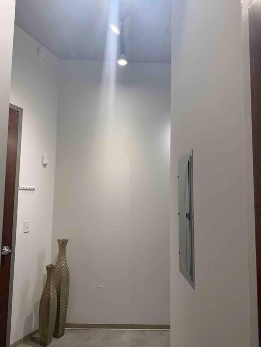 Apartment Luxury Cozy Loft Downtown Stl
