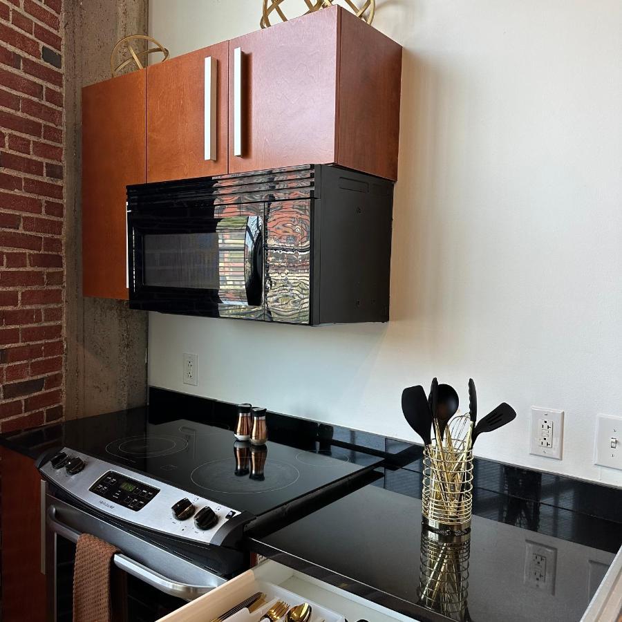 Luxury Cozy Loft Downtown Stl