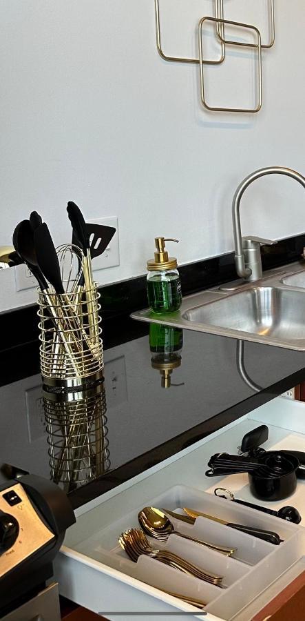 Apartment Luxury Cozy Loft Downtown Stl
