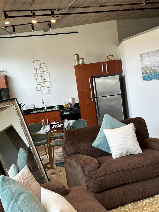 Luxury Cozy Loft Downtown Stl Apartment