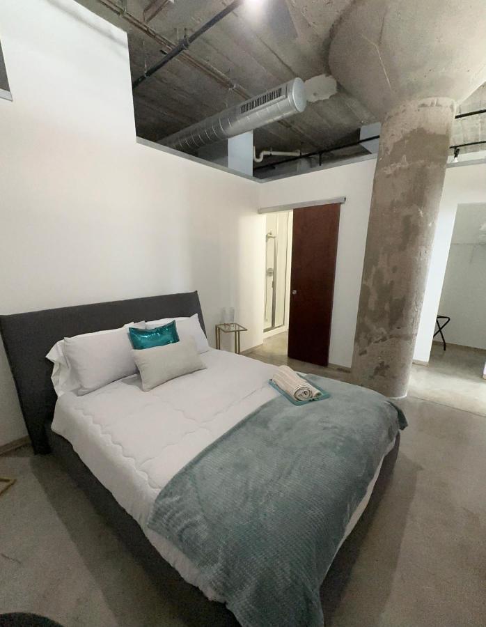 Luxury Cozy Loft Downtown Stl *