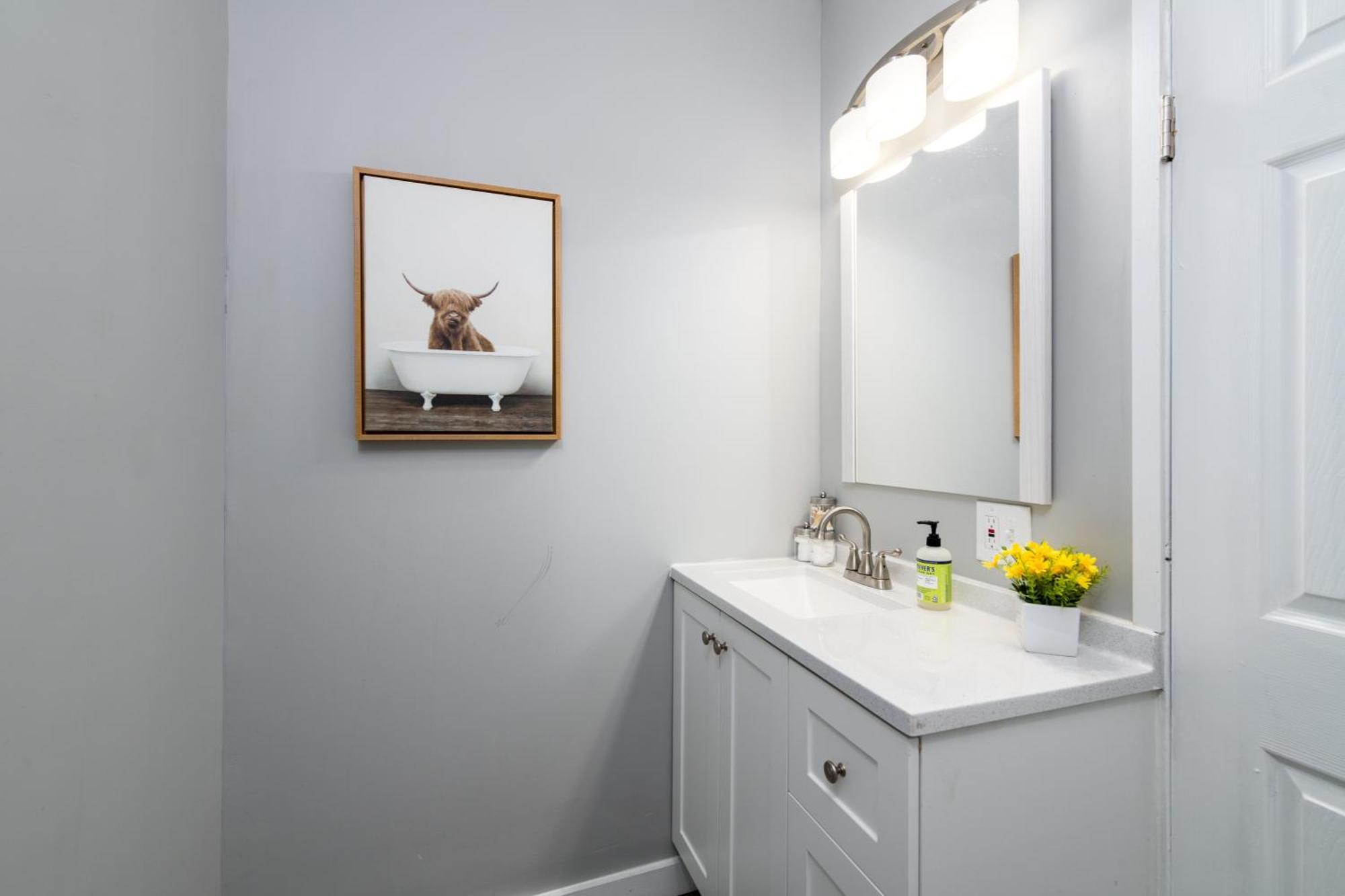 New 3 Bedroom Escape Apartment Saint Louis