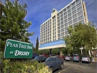 Pear Tree Near Union Station Hotel Saint Louis