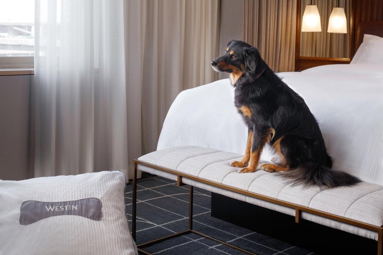 The Westin Saint Louis