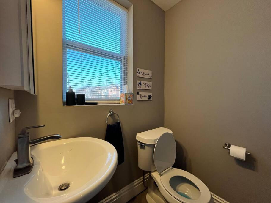 Apartment Cozy 2br-1ba Backyard & King Bed