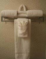 Hotel Hampton St Louis- At The Arch Saint Louis