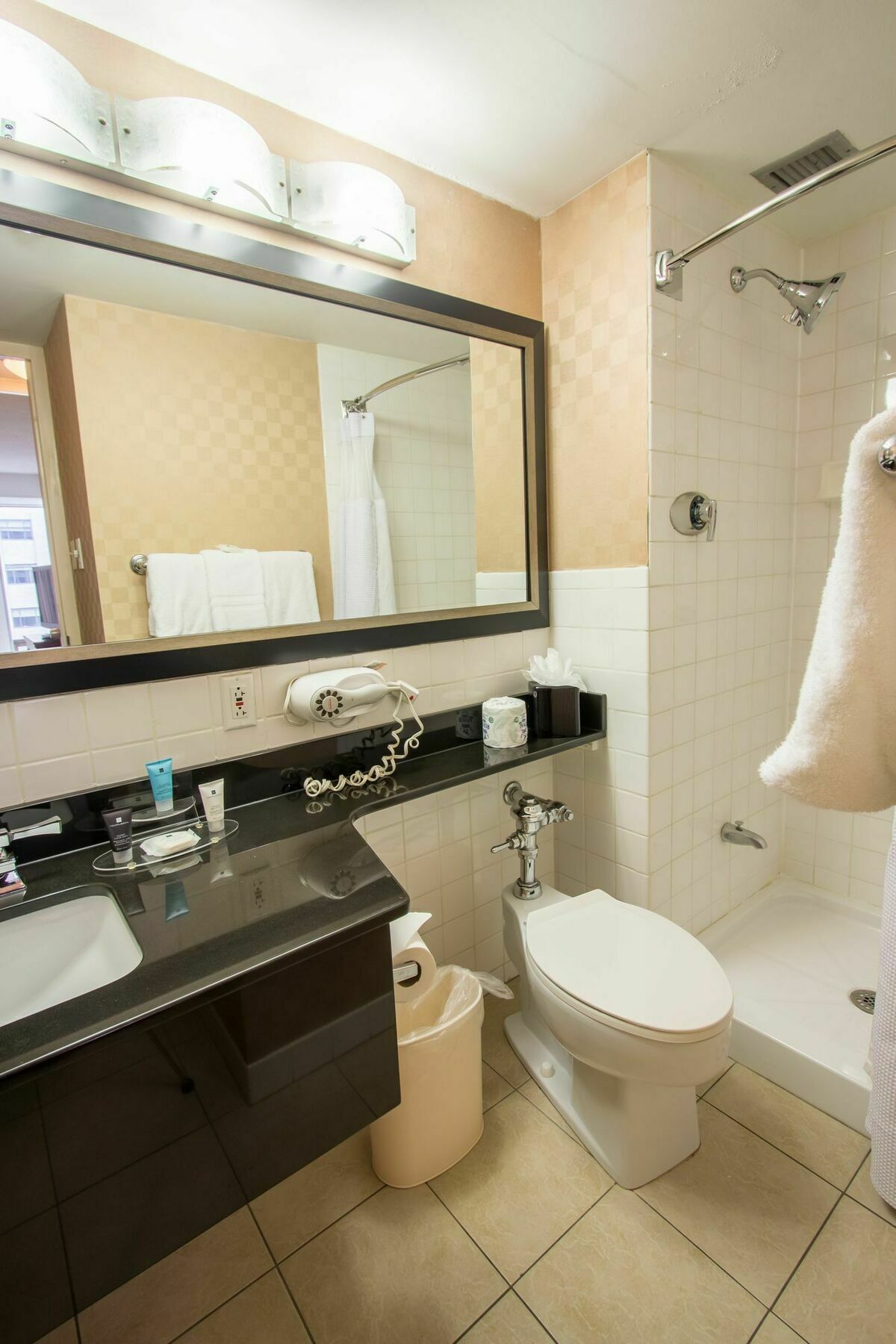 Place Downtown 3* Saint Louis