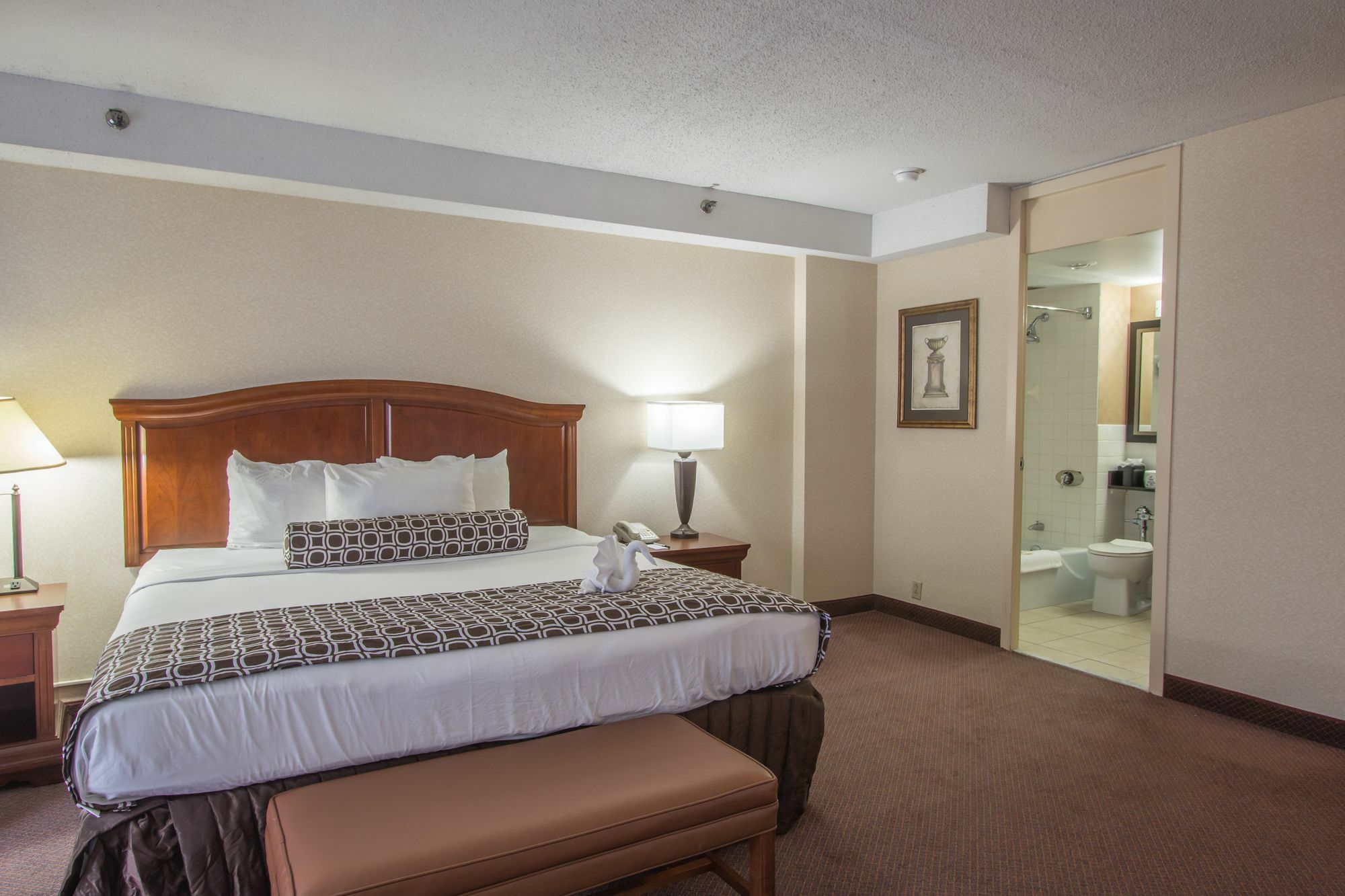 Place Downtown 3* Saint Louis